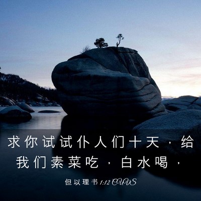 Picture 03 - 但 以 理 书 1:12 CUVS - 求 你 试 试 仆 人 们 十 天 ， 给 我 - Bible Verse Picture