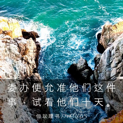 Picture 03 - 但 以 理 书 1:14 CUVS - 委 办 便 允 准 他 们 这 件 事 ， 试 - Bible Verse Picture