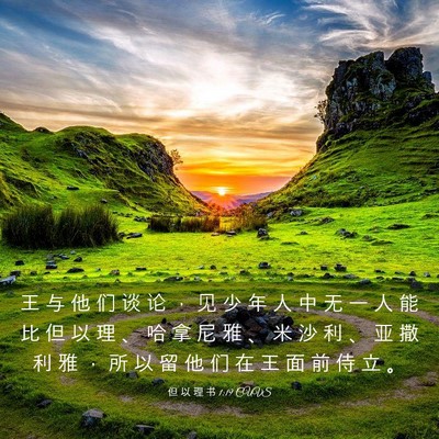 Picture 03 - 但 以 理 书 1:19 CUVS - 王 与 他 们 谈 论 ， 见 少 年 人 中 - Bible Verse Picture