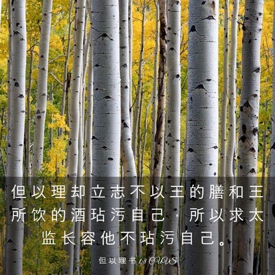 Picture 03 - 但 以 理 书 1:8 CUVS - 但 以 理 却 立 志 不 以 王 的 膳 和 - Bible Verse Picture