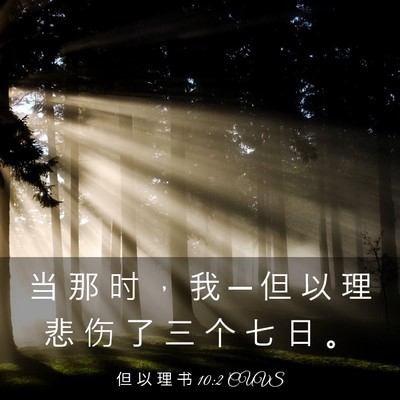 Picture 03 - 但 以 理 书 10:2 CUVS - 当 那 时 ， 我 ─ 但 以 理 悲 伤 了 - Bible Verse Picture
