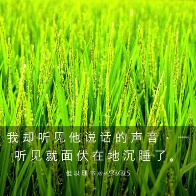Picture 03 - 但 以 理 书 10:9 CUVS - 我 却 听 见 他 说 话 的 声 音 ， 一 - Bible Verse Picture