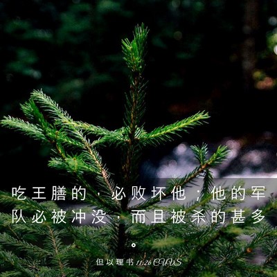 Picture 03 - 但 以 理 书 11:26 CUVS - 吃 王 膳 的 ， 必 败 坏 他 ； 他 的 - Bible Verse Picture