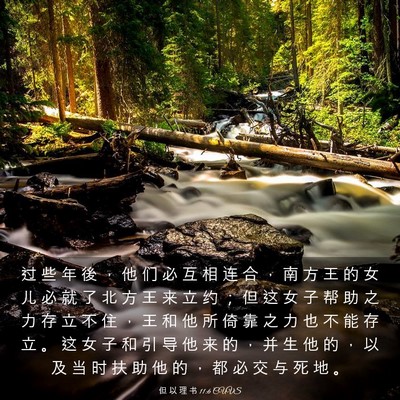 Picture 03 - 但 以 理 书 11:6 CUVS - 过 些 年 後 ， 他 们 必 互 相 连 合 - Bible Verse Picture