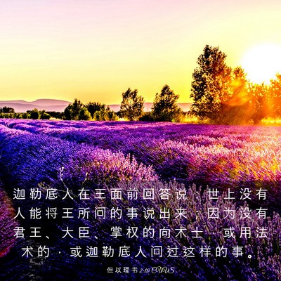 Picture 03 - 但 以 理 书 2:10 CUVS - 迦 勒 底 人 在 王 面 前 回 答 说 ： - Bible Verse Picture