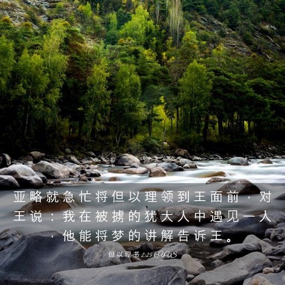 Picture 03 - 但 以 理 书 2:25 CUVS - 亚 略 就 急 忙 将 但 以 理 领 到 王 - Bible Verse Picture