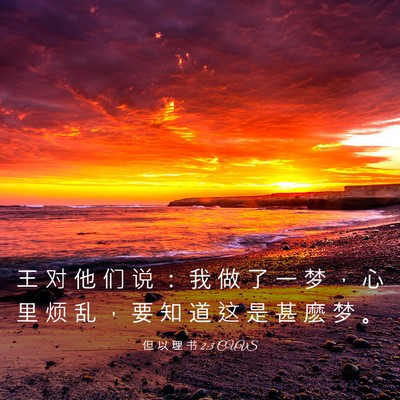 Picture 03 - 但 以 理 书 2:3 CUVS - 王 对 他 们 说 ： 我 做 了 一 梦 ， - Bible Verse Picture