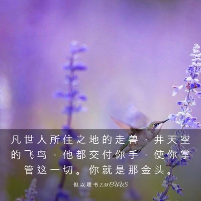 Picture 03 - 但 以 理 书 2:38 CUVS - 凡 世 人 所 住 之 地 的 走 兽 ， 并 - Bible Verse Picture