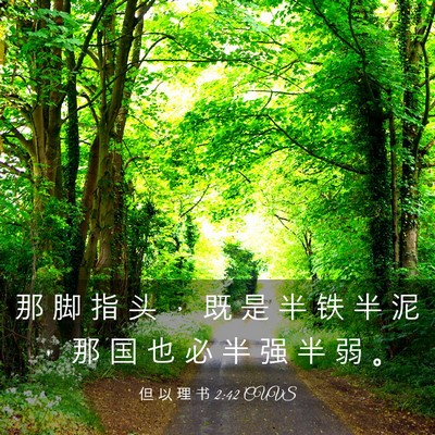 Picture 03 - 但 以 理 书 2:42 CUVS - 那 脚 指 头 ， 既 是 半 铁 半 泥 ， - Bible Verse Picture