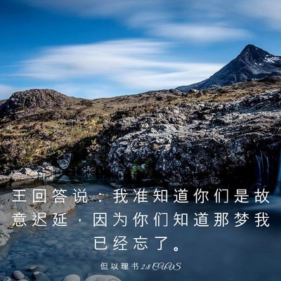 Picture 03 - 但 以 理 书 2:8 CUVS - 王 回 答 说 ： 我 准 知 道 你 们 是 - Bible Verse Picture