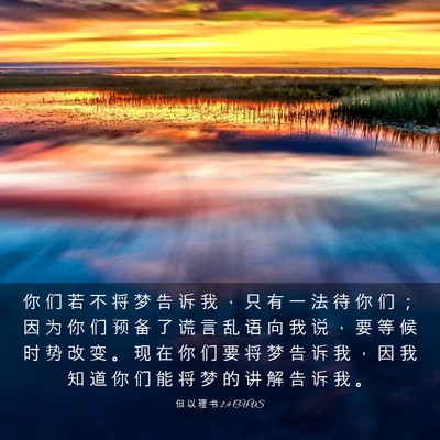 Picture 03 - 但 以 理 书 2:9 CUVS - 你 们 若 不 将 梦 告 诉 我 ， 只 有 - Bible Verse Picture