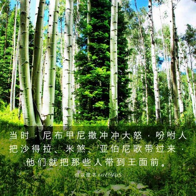 Picture 03 - 但 以 理 书 3:13 CUVS - 当 时 ， 尼 布 甲 尼 撒 冲 冲 大 怒 - Bible Verse Picture