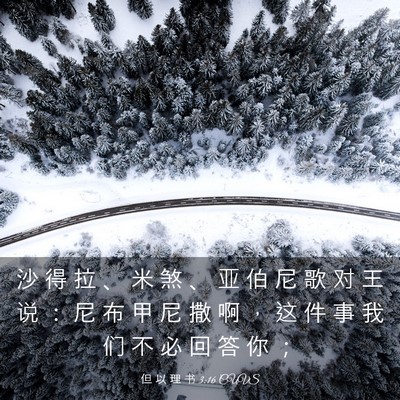 Picture 03 - 但 以 理 书 3:16 CUVS - 沙 得 拉 、 米 煞 、 亚 伯 尼 歌 对 - Bible Verse Picture