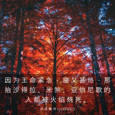 Picture 03 - 但 以 理 书 3:22 CUVS - 因 为 王 命 紧 急 ， 窑 又 甚 热 ， - Bible Verse Picture