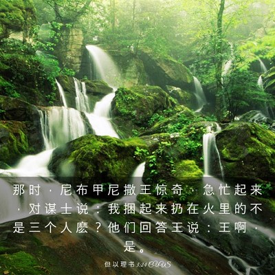 Picture 03 - 但 以 理 书 3:24 CUVS - 那 时 ， 尼 布 甲 尼 撒 王 惊 奇 ， - Bible Verse Picture