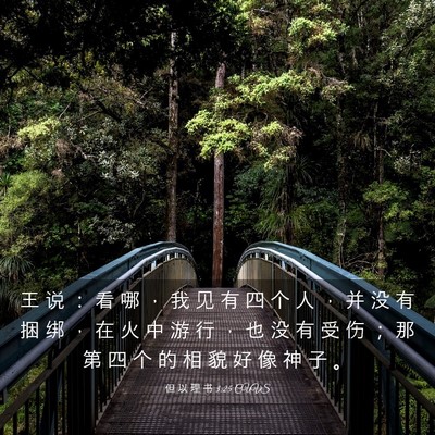 Picture 03 - 但 以 理 书 3:25 CUVS - 王 说 ： 看 哪 ， 我 见 有 四 个 人 - Bible Verse Picture