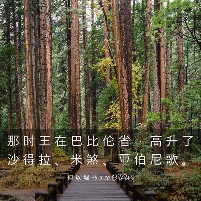 Picture 03 - 但 以 理 书 3:30 CUVS - 那 时 王 在 巴 比 伦 省 ， 高 升 了 - Bible Verse Picture