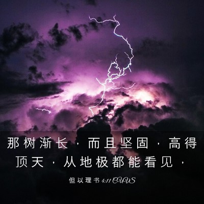 Picture 03 - 但 以 理 书 4:11 CUVS - 那 树 渐 长 ， 而 且 坚 固 ， 高 得 - Bible Verse Picture