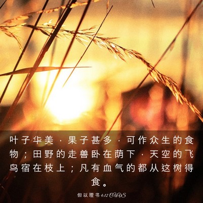 Picture 03 - 但 以 理 书 4:12 CUVS - 叶 子 华 美 ， 果 子 甚 多 ， 可 作 - Bible Verse Picture