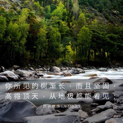 Picture 03 - 但 以 理 书 4:20 CUVS - 你 所 见 的 树 渐 长 ， 而 且 坚 固 - Bible Verse Picture