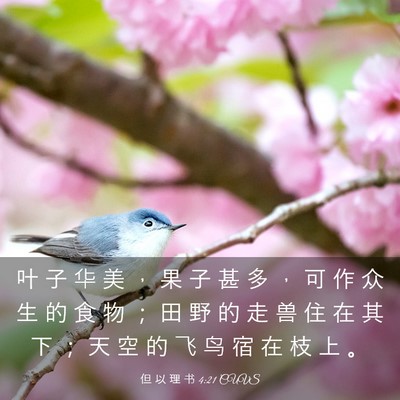 Picture 03 - 但 以 理 书 4:21 CUVS - 叶 子 华 美 ， 果 子 甚 多 ， 可 作 - Bible Verse Picture