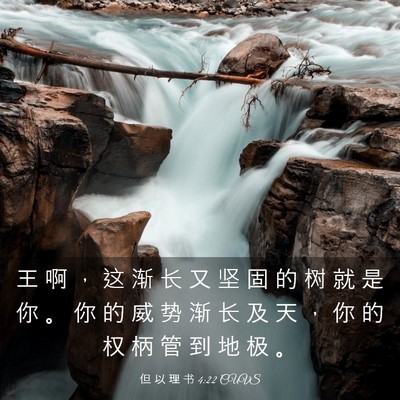 Picture 03 - 但 以 理 书 4:22 CUVS - 王 啊 ， 这 渐 长 又 坚 固 的 树 就 - Bible Verse Picture