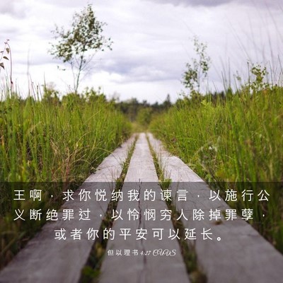 Picture 03 - 但 以 理 书 4:27 CUVS - 王 啊 ， 求 你 悦 纳 我 的 谏 言 ， - Bible Verse Picture