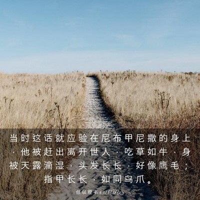 Picture 03 - 但 以 理 书 4:33 CUVS - 当 时 这 话 就 应 验 在 尼 布 甲 尼 - Bible Verse Picture