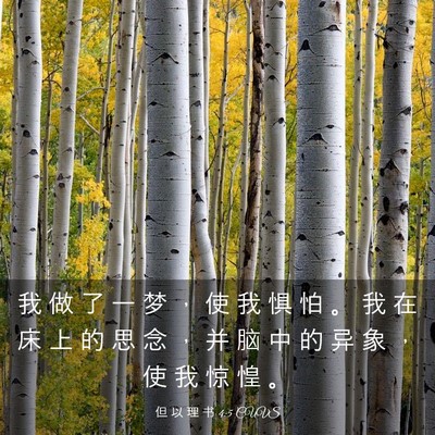 Picture 03 - 但 以 理 书 4:5 CUVS - 我 做 了 一 梦 ， 使 我 惧 怕 。 我 - Bible Verse Picture