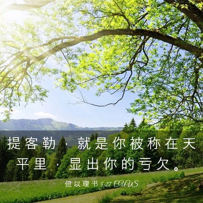 Picture 03 - 但 以 理 书 5:27 CUVS - 提 客 勒 ， 就 是 你 被 称 在 天 平 - Bible Verse Picture