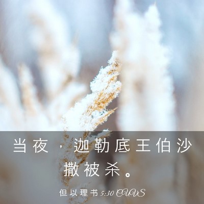 Picture 03 - 但 以 理 书 5:30 CUVS - 当 夜 ， 迦 勒 底 王 伯 沙 撒 被 杀 - Bible Verse Picture