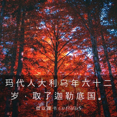 Picture 03 - 但 以 理 书 5:31 CUVS - 玛 代 人 大 利 乌 年 六 十 二 岁 ， - Bible Verse Picture