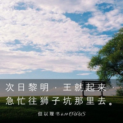 Picture 03 - 但 以 理 书 6:19 CUVS - 次 日 黎 明 ， 王 就 起 来 ， 急 忙 - Bible Verse Picture