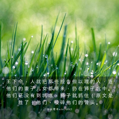 Picture 03 - 但 以 理 书 6:24 CUVS - 王 下 令 ， 人 就 把 那 些 控 告 但 - Bible Verse Picture