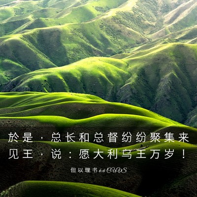 Picture 03 - 但 以 理 书 6:6 CUVS - 於 是 ， 总 长 和 总 督 纷 纷 聚 集 - Bible Verse Picture