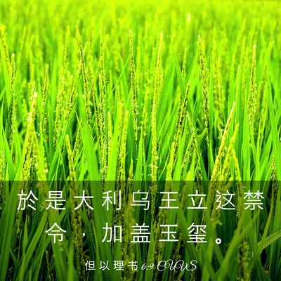 Picture 03 - 但 以 理 书 6:9 CUVS - 於 是 大 利 乌 王 立 这 禁 令 ， 加 - Bible Verse Picture
