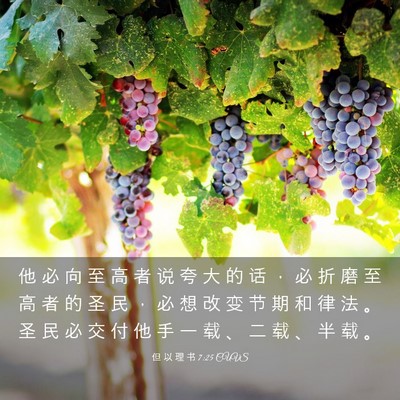 Picture 03 - 但 以 理 书 7:25 CUVS - 他 必 向 至 高 者 说 夸 大 的 话 ， - Bible Verse Picture
