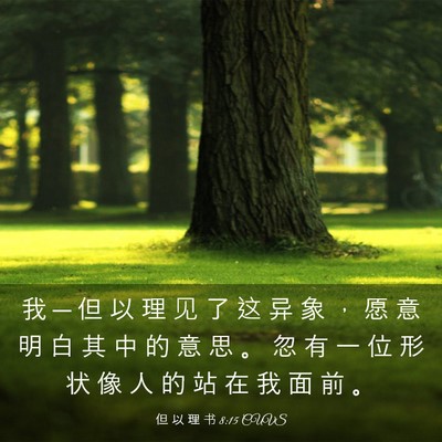 Picture 03 - 但 以 理 书 8:15 CUVS - 我 ─ 但 以 理 见 了 这 异 象 ， 愿 - Bible Verse Picture