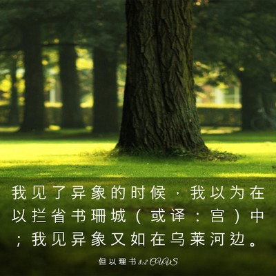 Picture 03 - 但 以 理 书 8:2 CUVS - 我 见 了 异 象 的 时 候 ， 我 以 为 - Bible Verse Picture