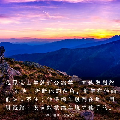 Picture 03 - 但 以 理 书 8:7 CUVS - 我 见 公 山 羊 就 近 公 绵 羊 ， 向 - Bible Verse Picture