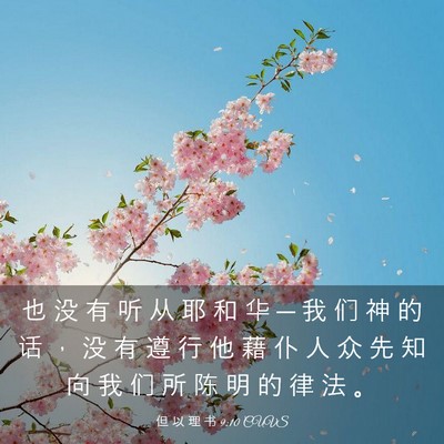 Picture 03 - 但 以 理 书 9:10 CUVS - 也 没 有 听 从 耶 和 华 ─ 我 们 神 - Bible Verse Picture