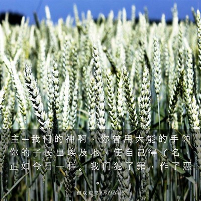 Picture 03 - 但 以 理 书 9:15 CUVS - 主 ─ 我 们 的 神 啊 ， 你 曾 用 大 - Bible Verse Picture