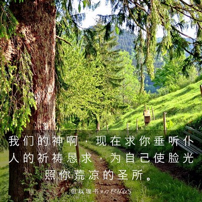 Picture 03 - 但 以 理 书 9:17 CUVS - 我 们 的 神 啊 ， 现 在 求 你 垂 听 - Bible Verse Picture