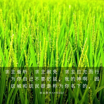 Picture 03 - 但 以 理 书 9:19 CUVS - 求 主 垂 听 ， 求 主 赦 免 ， 求 主 - Bible Verse Picture