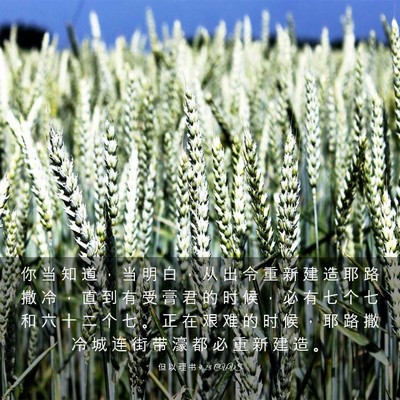 Picture 03 - 但 以 理 书 9:25 CUVS - 你 当 知 道 ， 当 明 白 ， 从 出 令 - Bible Verse Picture