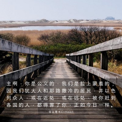 Picture 03 - 但 以 理 书 9:7 CUVS - 主 啊 ， 你 是 公 义 的 ， 我 们 是 - Bible Verse Picture
