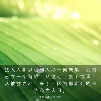 Picture 03 - 何 西 阿 书 1:11 CUVS - 犹 大 人 和 以 色 列 人 必 一 同 聚 - Bible Verse Picture