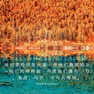 Picture 03 - 何 西 阿 书 1:7 CUVS - 我 却 要 怜 悯 犹 大 家 ， 使 他 们 - Bible Verse Picture