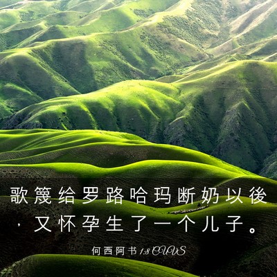 Picture 03 - 何 西 阿 书 1:8 CUVS - 歌 篾 给 罗 路 哈 玛 断 奶 以 後 ， - Bible Verse Picture