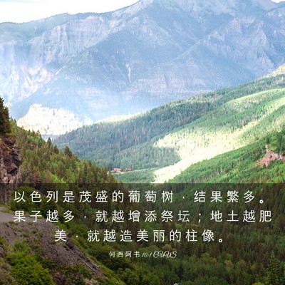 Picture 03 - 何 西 阿 书 10:1 CUVS - 以 色 列 是 茂 盛 的 葡 萄 树 ， 结 - Bible Verse Picture